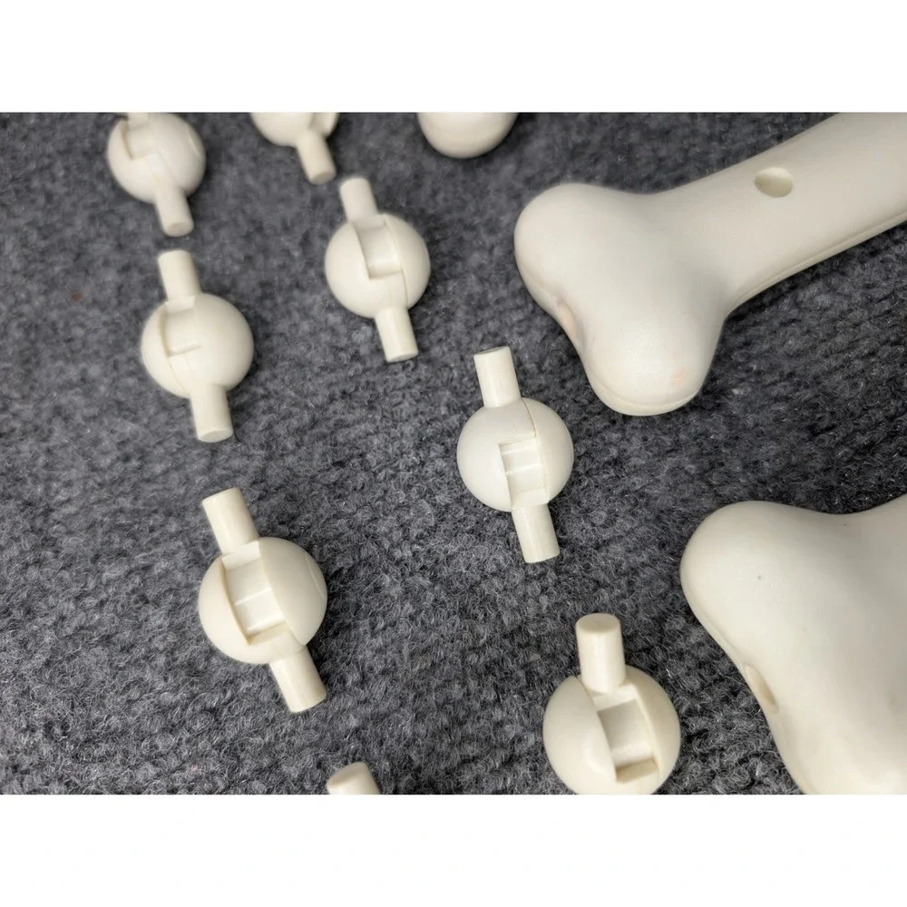 42 Piece Curious Bonz Bones a building bone-anza! 1998 Building Skeleton Incomp.